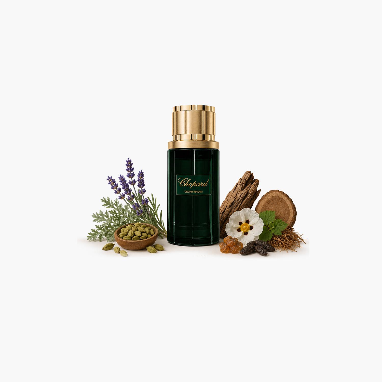 Chopard Cedar Malaki EDP 80 Ml Unisex-beautyandpersonalcare-fragrance-unisex-image-3