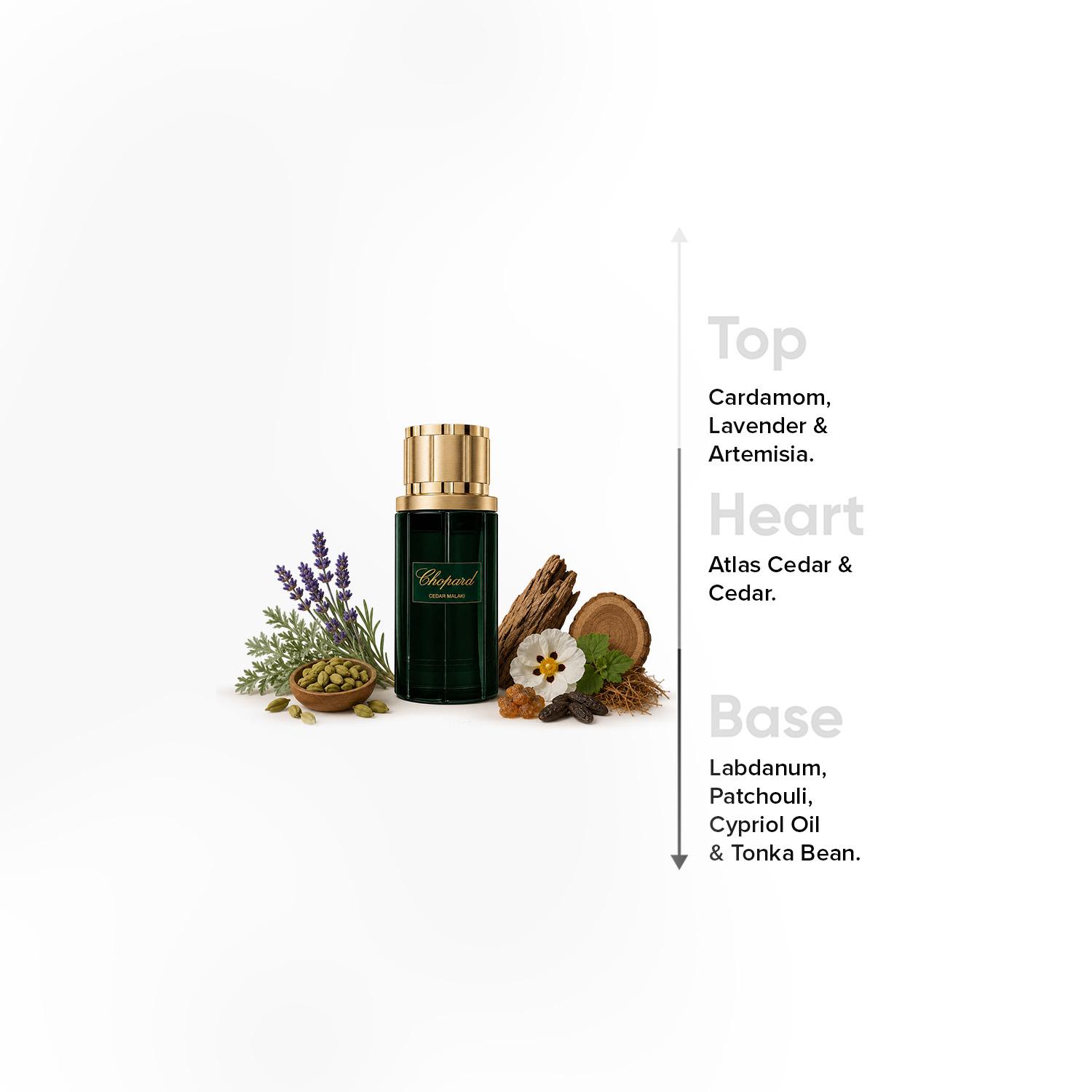 Chopard Cedar Malaki EDP 80 Ml Unisex-beautyandpersonalcare-fragrance-unisex-image-4