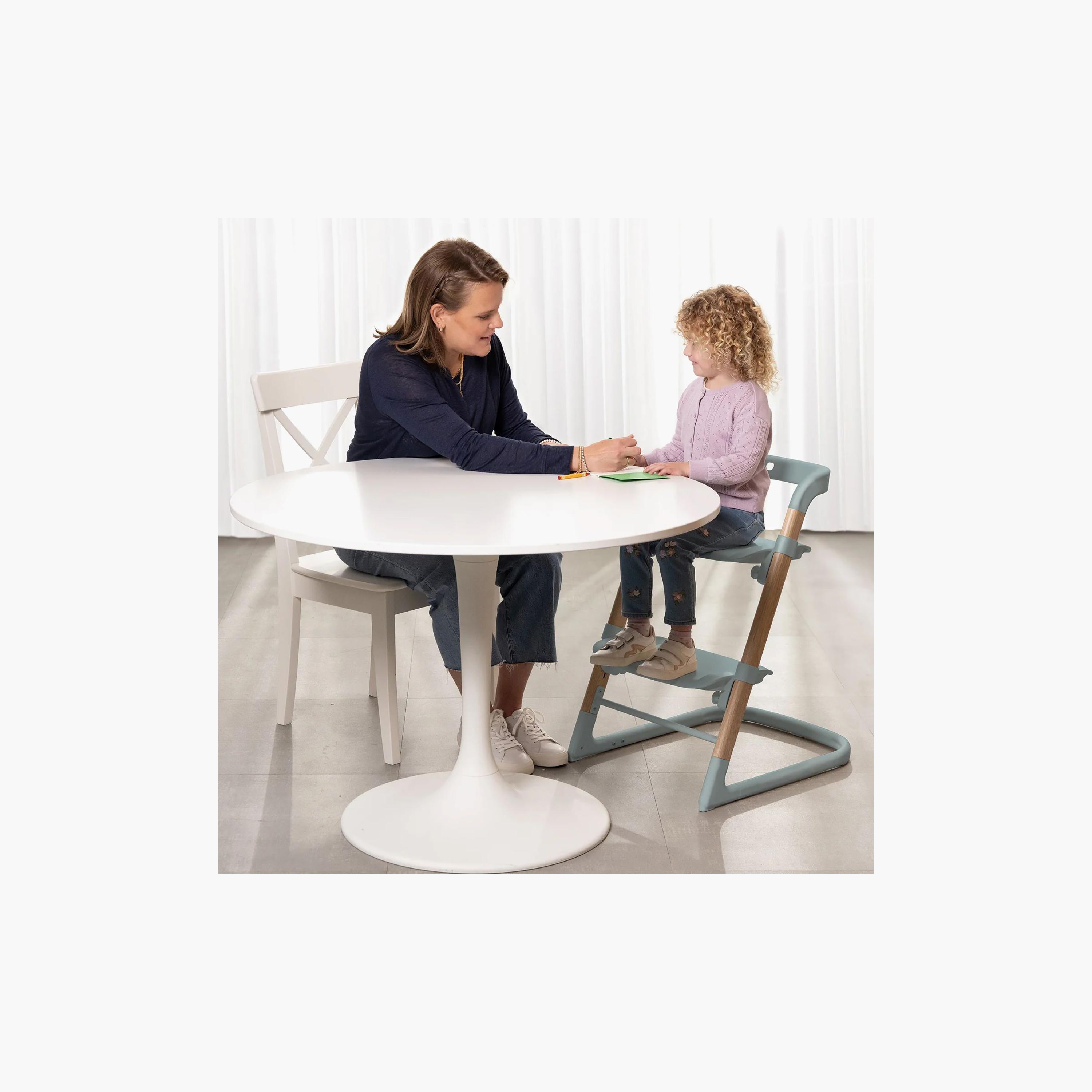 Evenflo RightSeat Multistage High Chair-baby-feeding-highchairsandboosters-image-2