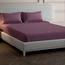 Mulberry Living Cotton 300 Thread Count 3-Piece Super King Flat Sheet Set - 260x280 cm-InfluencerCodes_Ramadan26_All_20012026-image-3