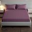 Mulberry Living Cotton 300 Thread Count 3-Piece King Fitted Sheet Set - 180x200 cm-InfluencerCodes_Ramadan26_All_20012026-image-1
