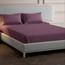 Mulberry Living Cotton 300 Thread Count 3-Piece King Fitted Sheet Set - 180x200 cm-InfluencerCodes_Ramadan26_All_20012026-image-3