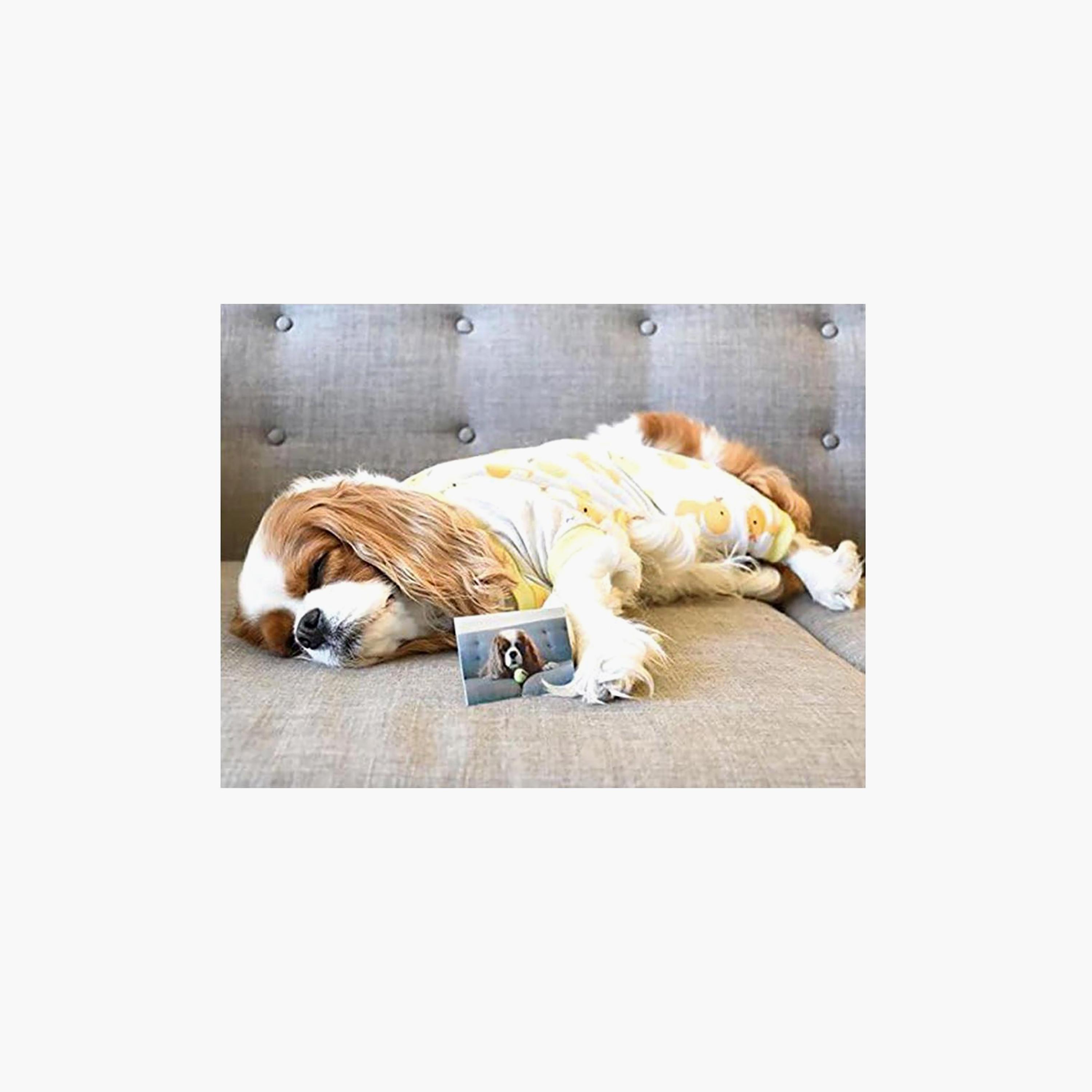 Polaroid 2x3 Zink 20pk PREMIUM | POLZ2X320-electronics-portabledevices-image-4