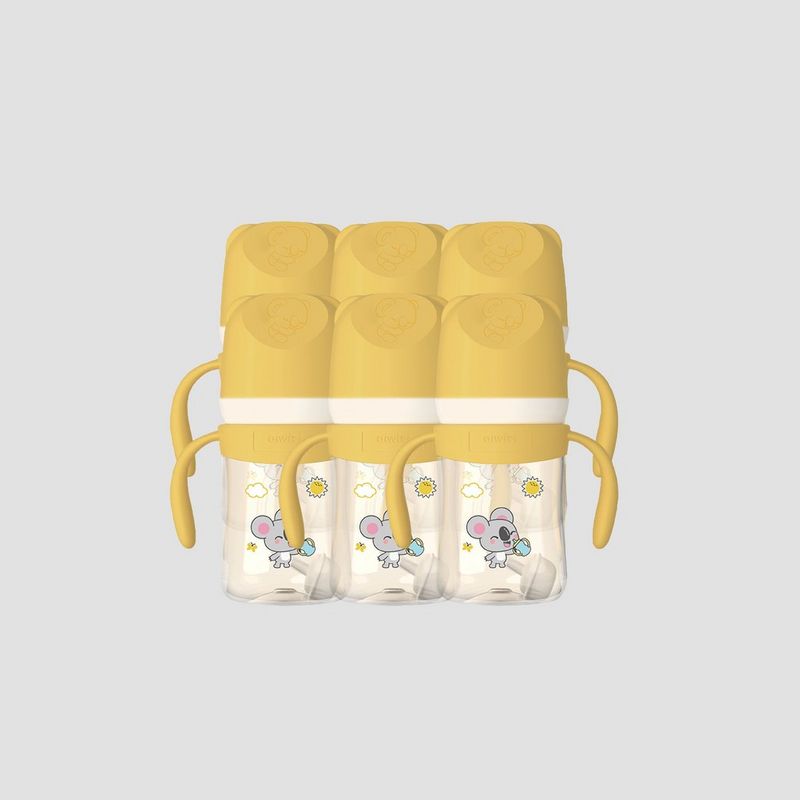 مجموعة زجاجات رضاعة أيويبي (6 قطع) - 270 مل — صورة 1