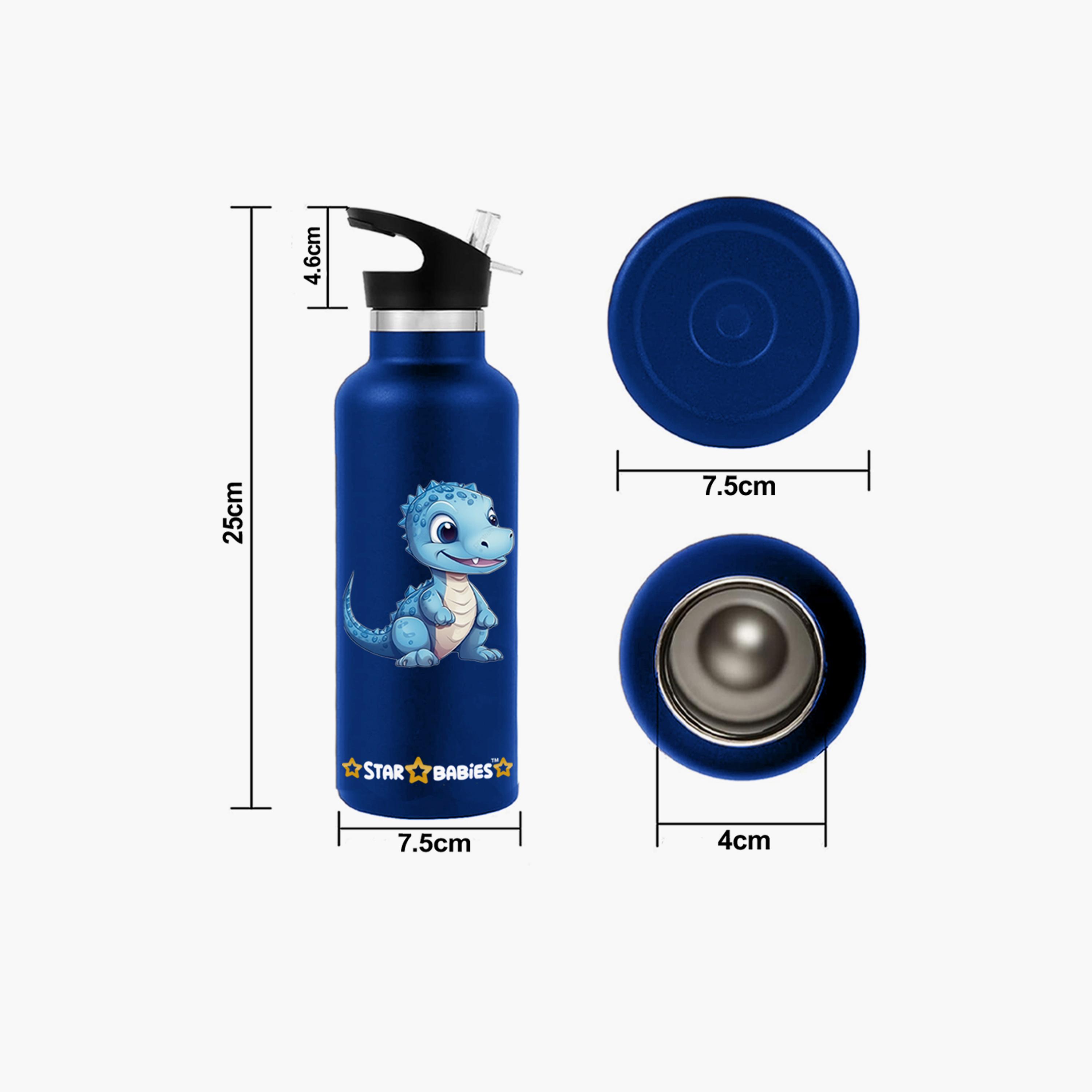 Star Babies Stainless Steel Water Bottle and Food Jar with Free Gifts - Dinosaurs-school-waterbottles-image-5