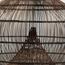 The 8 Senses Living Nero Rattan Pendant Lampshade-InfluencerCodes_Ramadan26_All_20012026-image-6