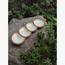 The 8 Senses Living Capiz Seashell Serving Tray-InfluencerCodes_Ramadan26_All_20012026-image-5