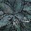 The 8 Senses Living Abalone Seashell Decorative Bowl - 16 cm-InfluencerCodes_Ramadan26_All_20012026-image-5