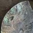 The 8 Senses Living Abalone Seashells Decorative Plate - 30 cm-InfluencerCodes_Ramadan26_All_20012026-image-5