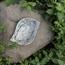 The 8 Senses Living Abalone Seashells Decorative Plate - 20 cm-InfluencerCodes_Ramadan26_All_20012026-image-3