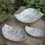 The 8 Senses Living Abalone Seashells Decorative Plate - 20 cm-InfluencerCodes_Ramadan26_All_20012026-image-6