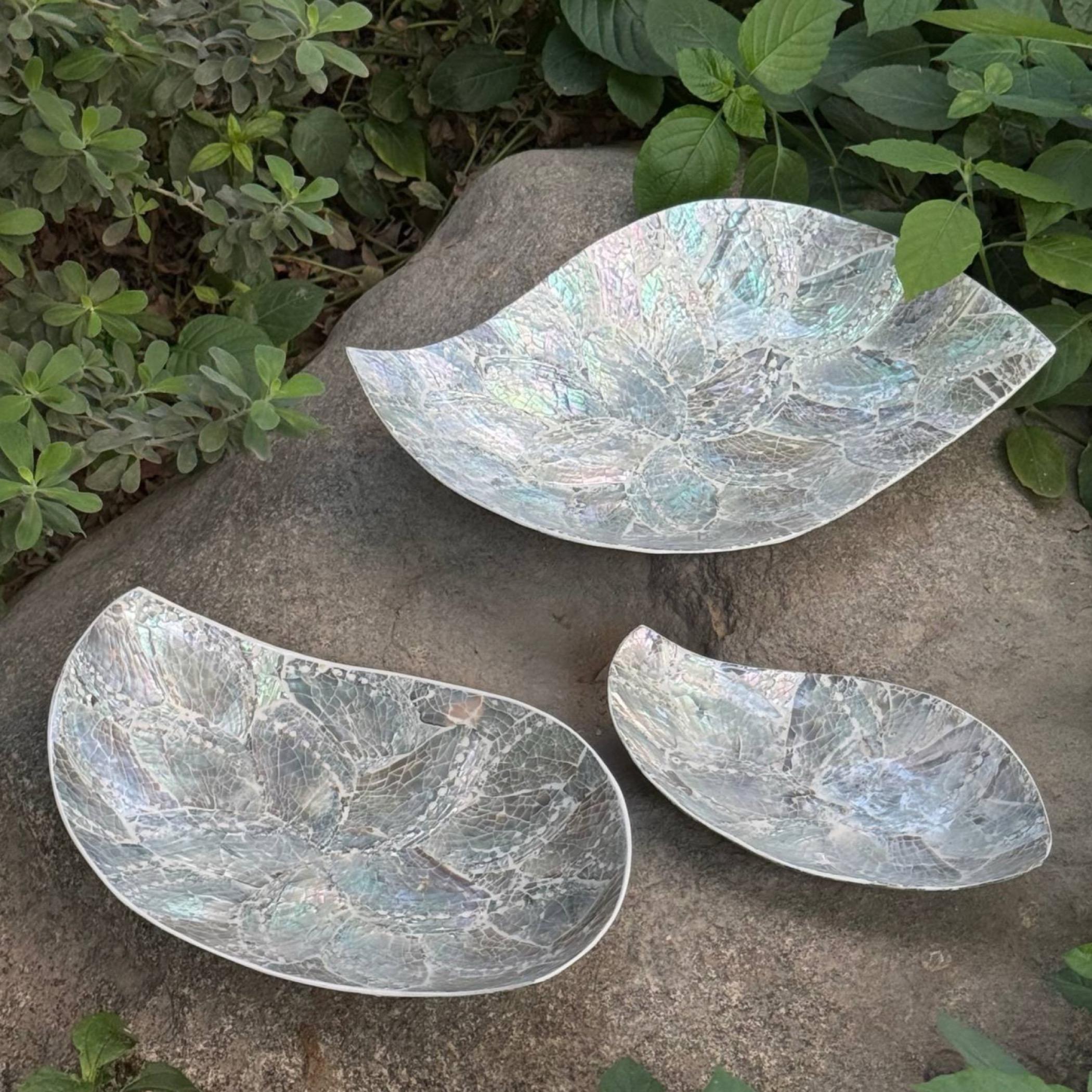 The 8 Senses Living Abalone Seashells Decorative Plate - Set of 3