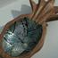 The 8 Senses Living Pineapple Seashells Decorative Bowl - 12 cm-InfluencerCodes_Ramadan26_All_20012026-image-4