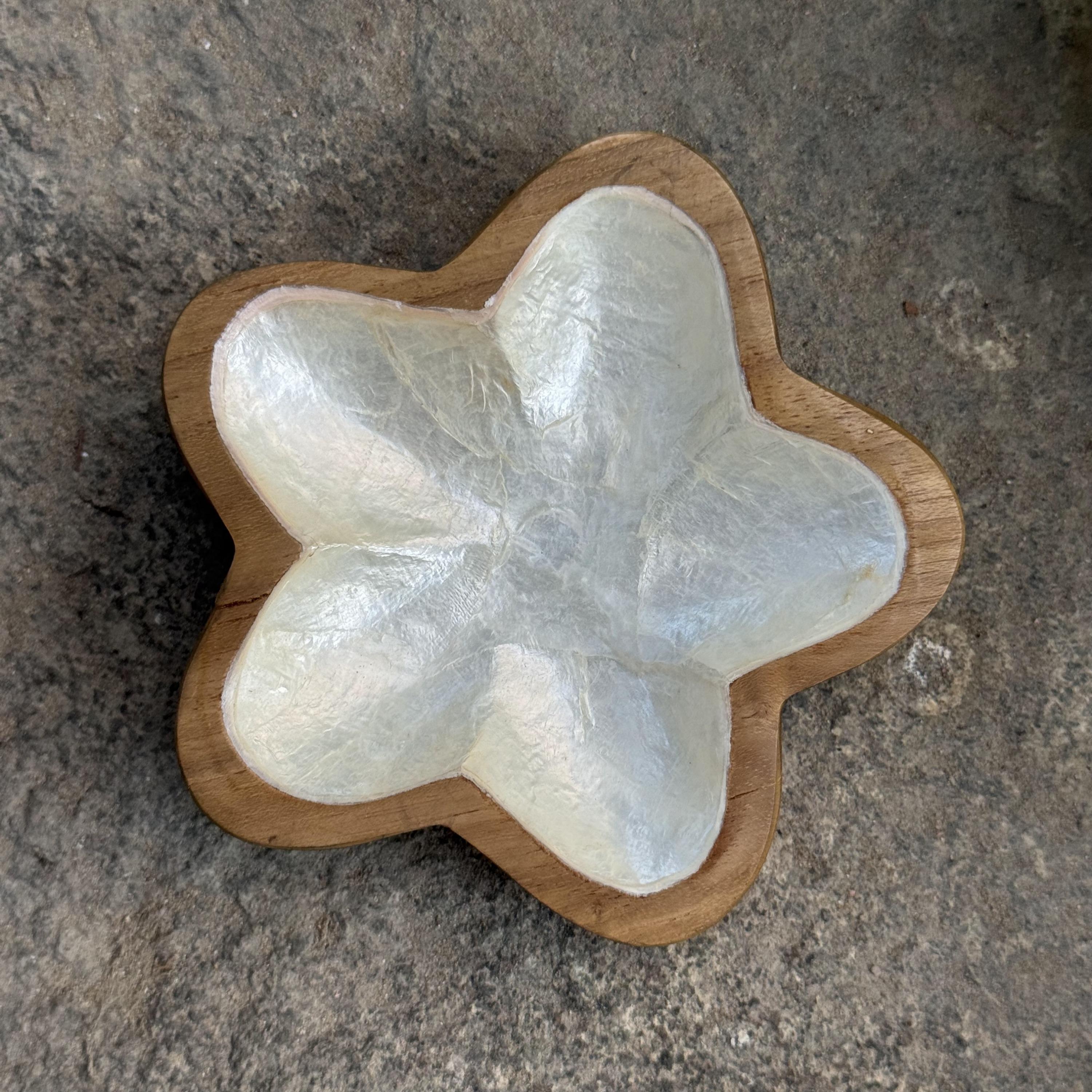 The 8 Senses Living Flower Seashells Decorative Bowl