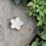 The 8 Senses Living Flower Seashells Decorative Bowl-InfluencerCodes_Ramadan26_All_20012026-image-2
