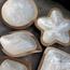 The 8 Senses Living Flower Seashells Decorative Bowl-InfluencerCodes_Ramadan26_All_20012026-image-5