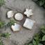 The 8 Senses Living Flower Seashells Decorative Bowl-InfluencerCodes_Ramadan26_All_20012026-image-7