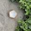 The 8 Senses Living Polygon Seashells Decorative Bowl - 10 cm-InfluencerCodes_Ramadan26_All_20012026-image-1
