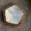 The 8 Senses Living Polygon Seashells Decorative Bowl - 10 cm-InfluencerCodes_Ramadan26_All_20012026-image-2