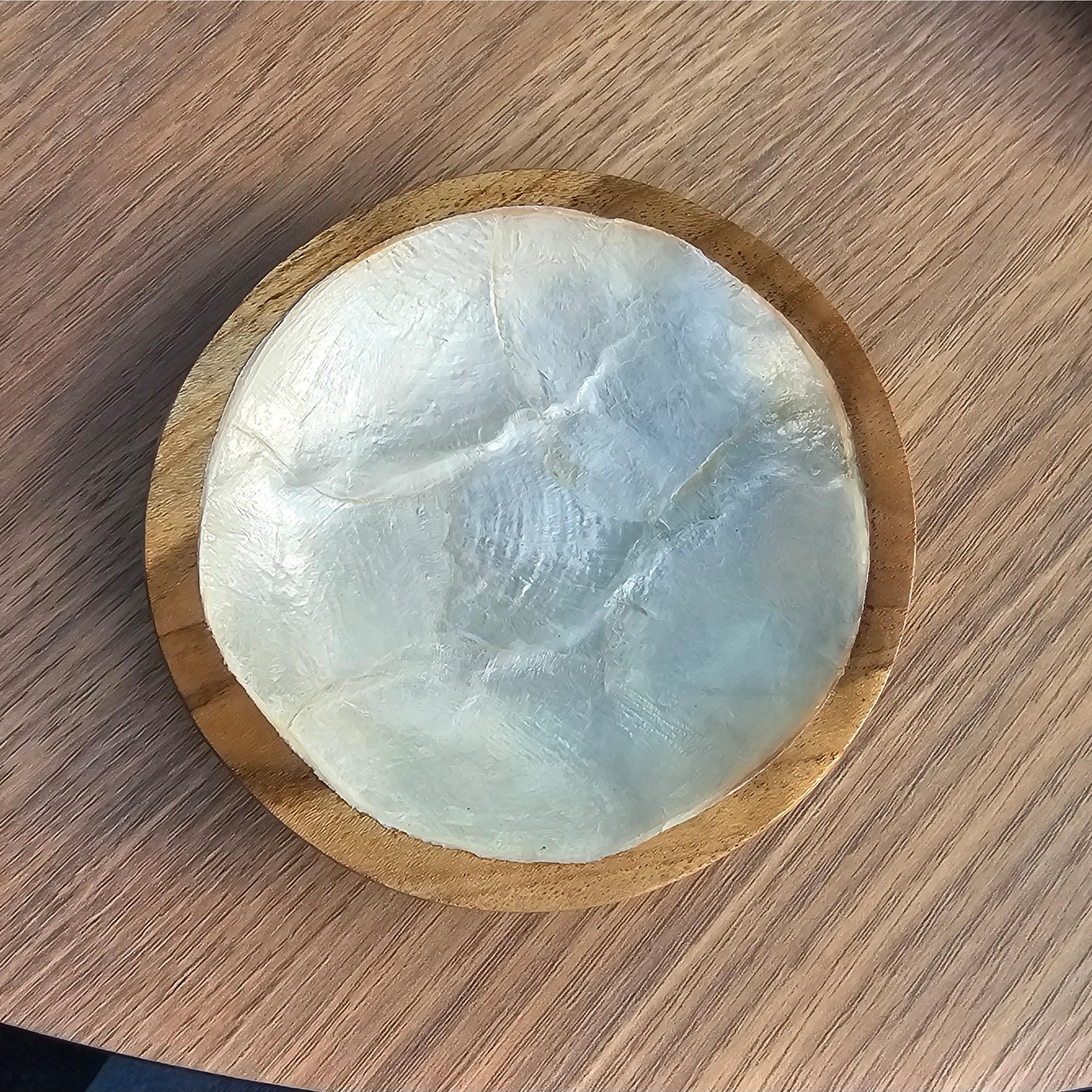 The 8 Senses Living Round Seashells Decorative Bowl - 10 cm
