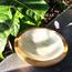The 8 Senses Living Round Seashells Decorative Bowl - 10 cm-InfluencerCodes_Ramadan26_All_20012026-image-3