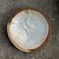 The 8 Senses Living Round Seashells Decorative Bowl - 10 cm-InfluencerCodes_Ramadan26_All_20012026-image-6
