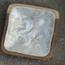 The 8 Senses Living Square Seashells Decorative Bowl-InfluencerCodes_Ramadan26_All_20012026-image-2