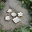 The 8 Senses Living Square Seashells Decorative Bowl-InfluencerCodes_Ramadan26_All_20012026-image-6
