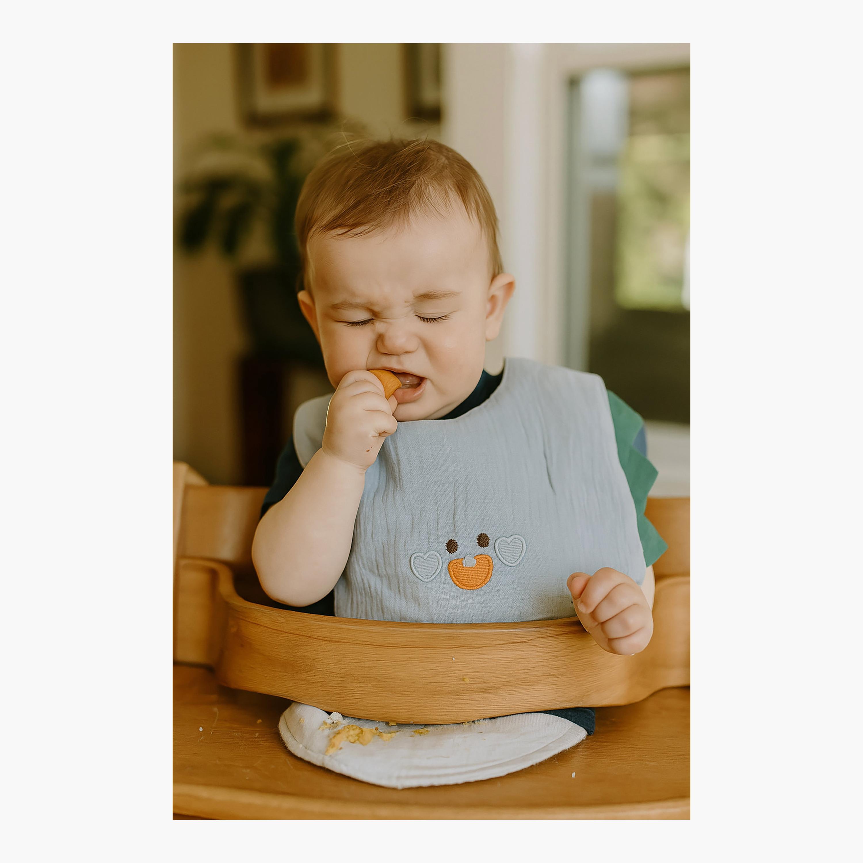 مريلة بأزرار بتصميم الديناصور الصغير من كيندر فالي-baby-feeding-bibs-image-4