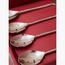 Quesera 4-Piece Dessert Spoon Set-InfluencerCodes_Ramadan26_All_20012026-image-2