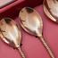 Quesera 4-Piece Dessert Spoon Set-InfluencerCodes_Ramadan26_All_20012026-image-4