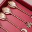 Quesera 4-Piece Dessert Spoon Set-InfluencerCodes_Ramadan26_All_20012026-image-5
