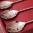 Quesera 4-Piece Dessert Spoon Set-InfluencerCodes_Ramadan26_All_20012026-image-5
