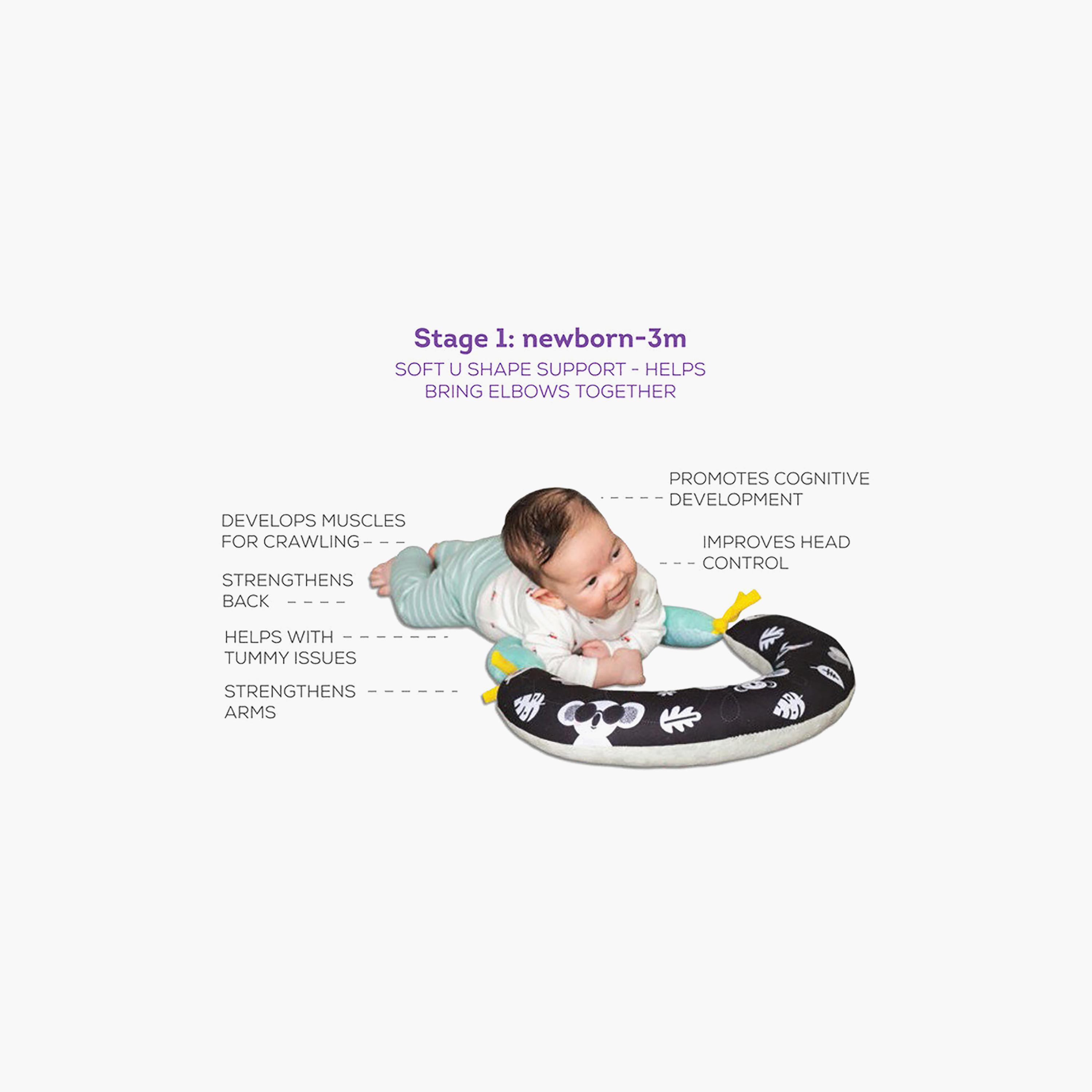 Taf Toys 2-In-1 Tummy Time pillow-baby-nursery-babybedding-image-5