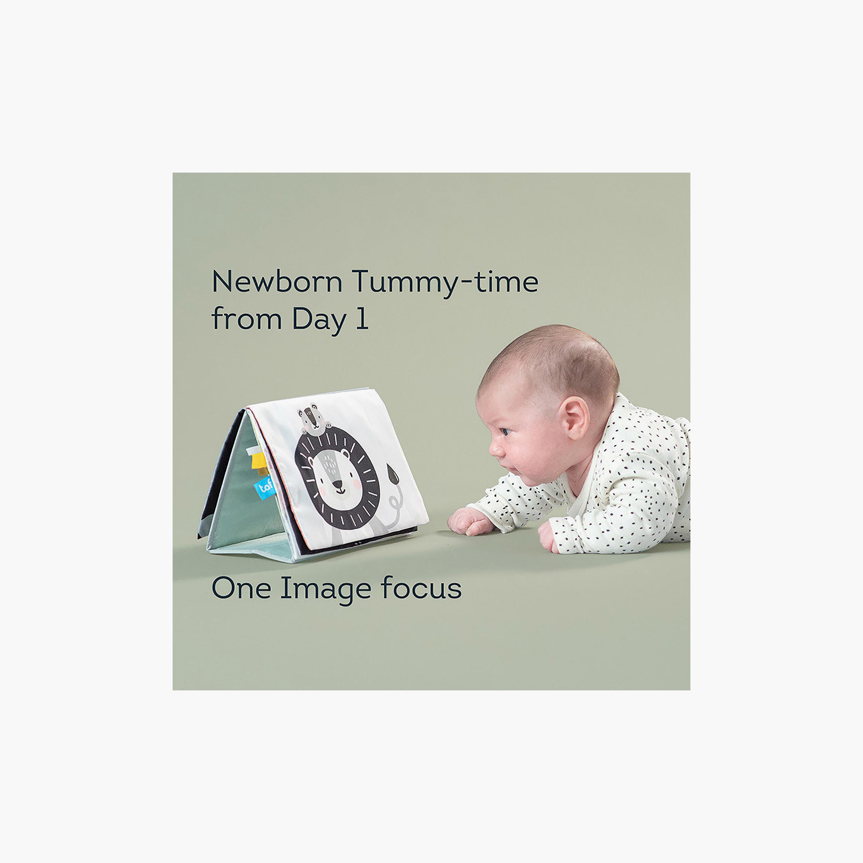 كتاب وقت الاستلقاء على البطن سافانا من تاف تويز-toys-babyandtoddlertoys-learningtoys-image-7