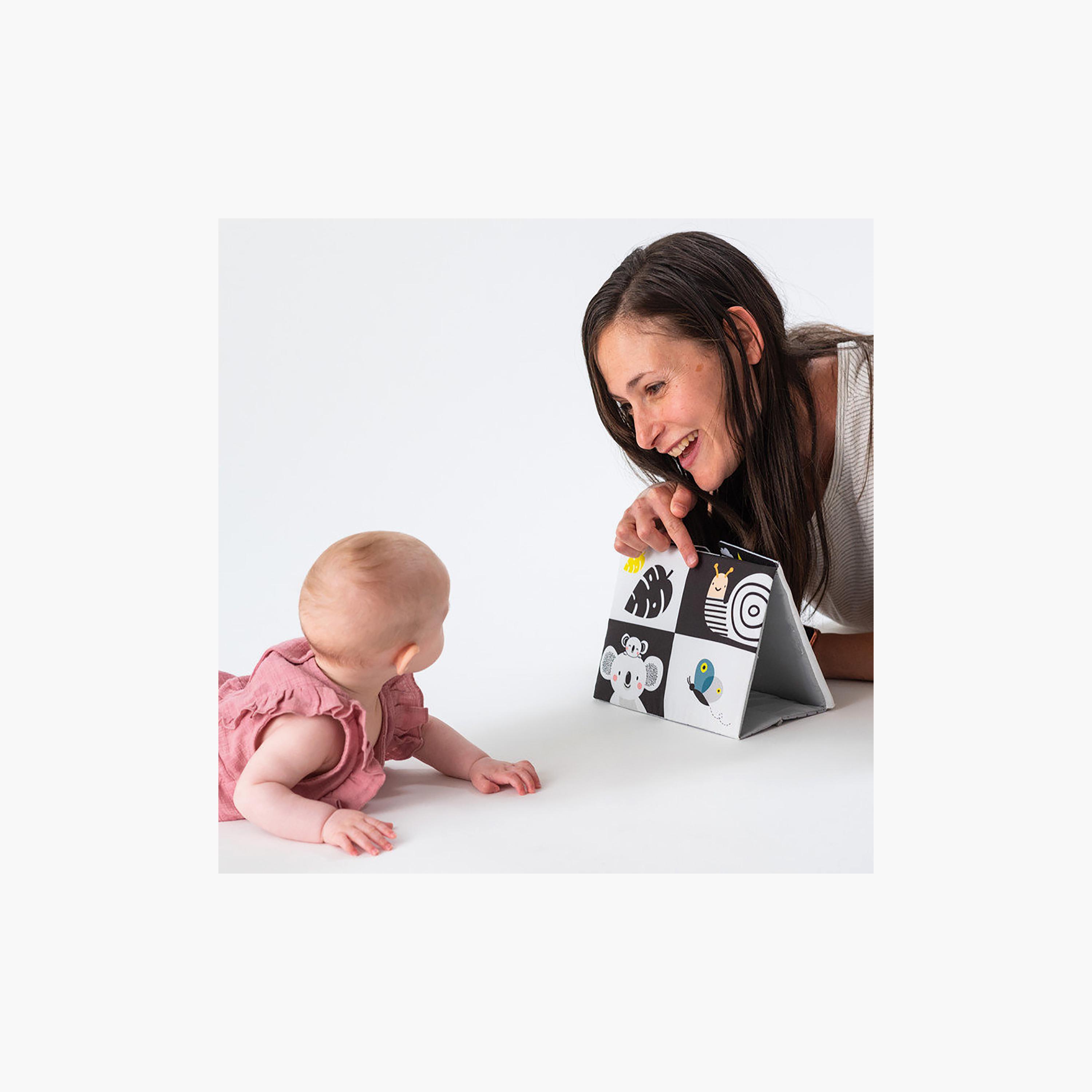 كتاب مرآة وقت الاستلقاء على البطن للأطفال من تاف تويز-toys-babyandtoddlertoys-learningtoys-image-5