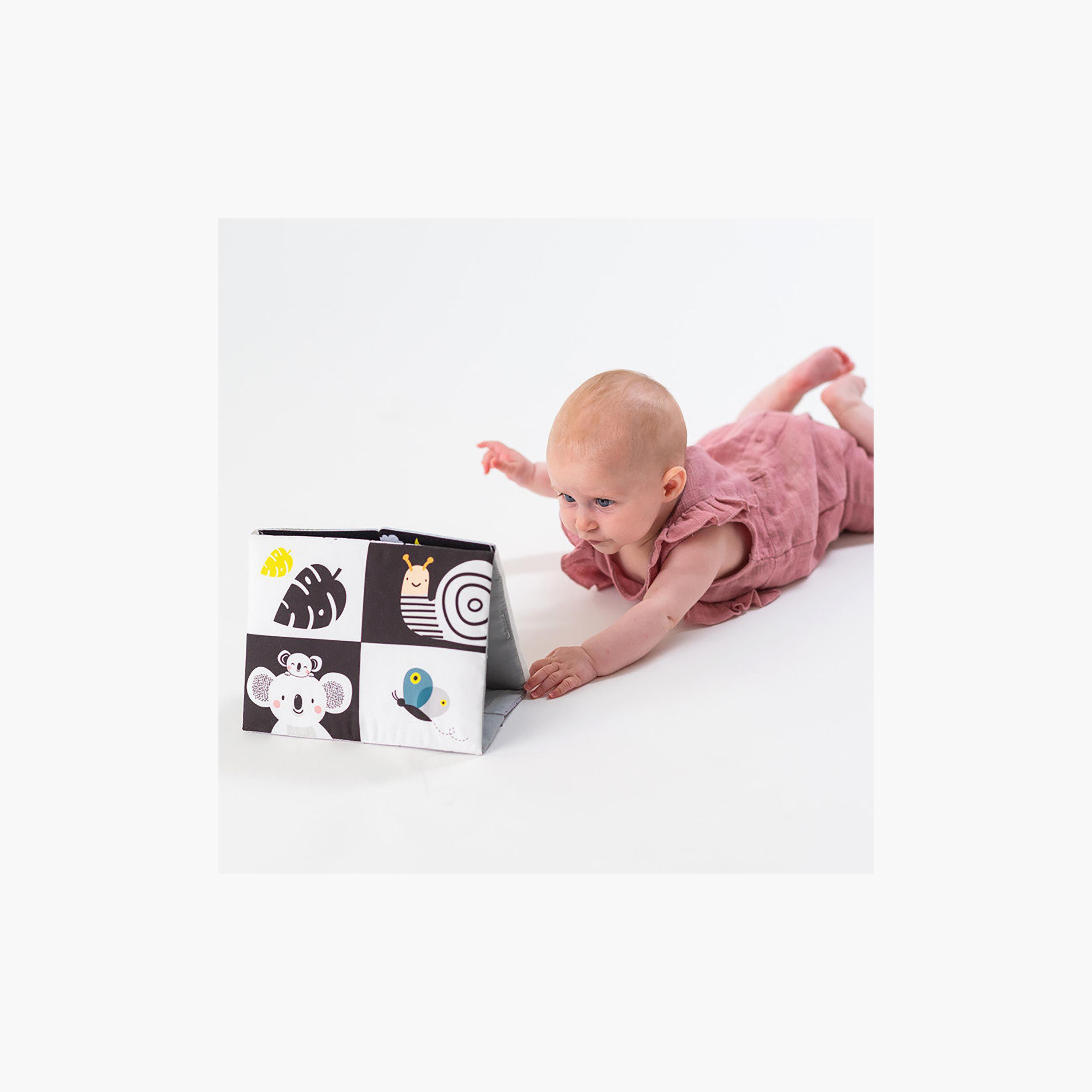 كتاب مرآة وقت الاستلقاء على البطن للأطفال من تاف تويز-toys-babyandtoddlertoys-learningtoys-image-6