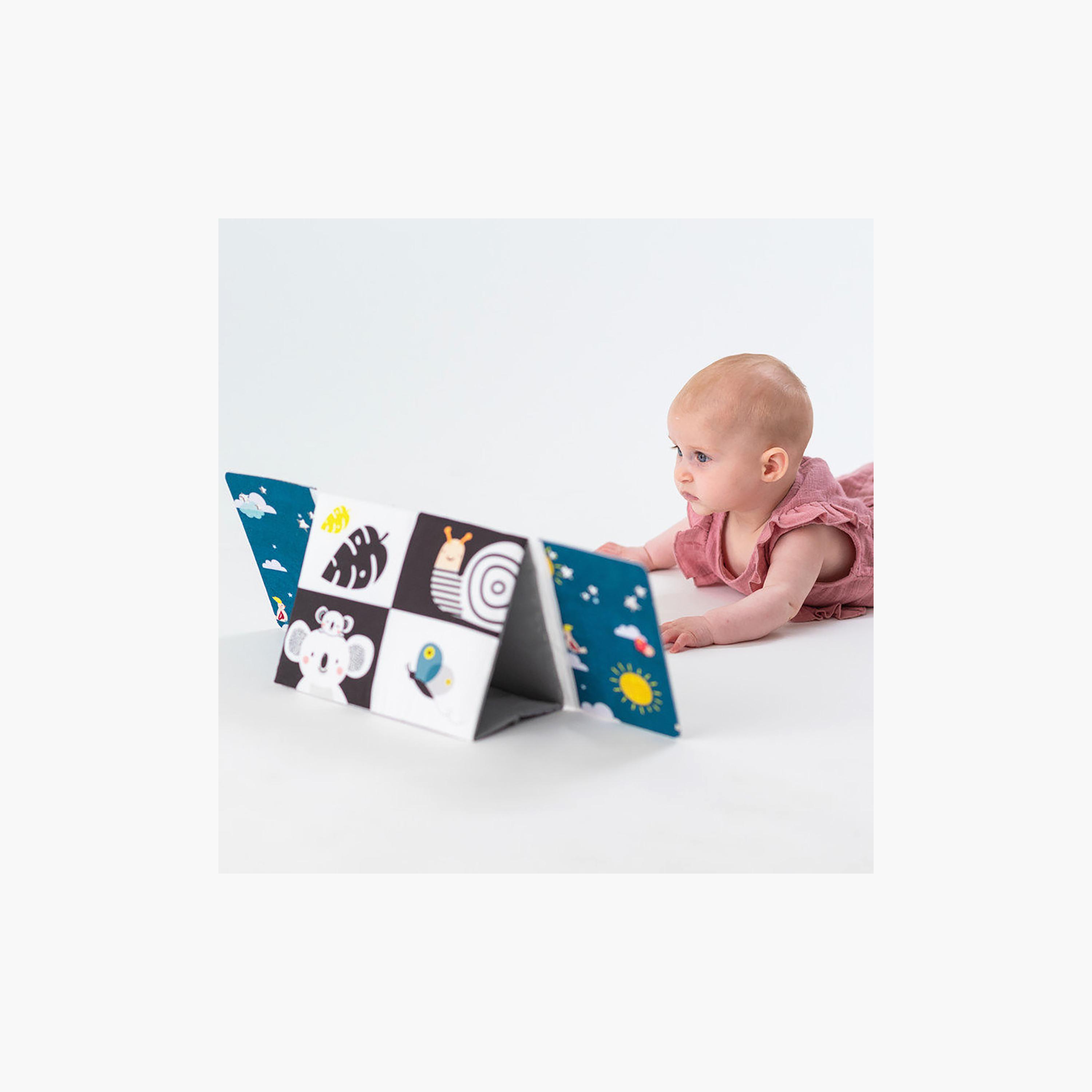كتاب مرآة وقت الاستلقاء على البطن للأطفال من تاف تويز-toys-babyandtoddlertoys-learningtoys-image-7
