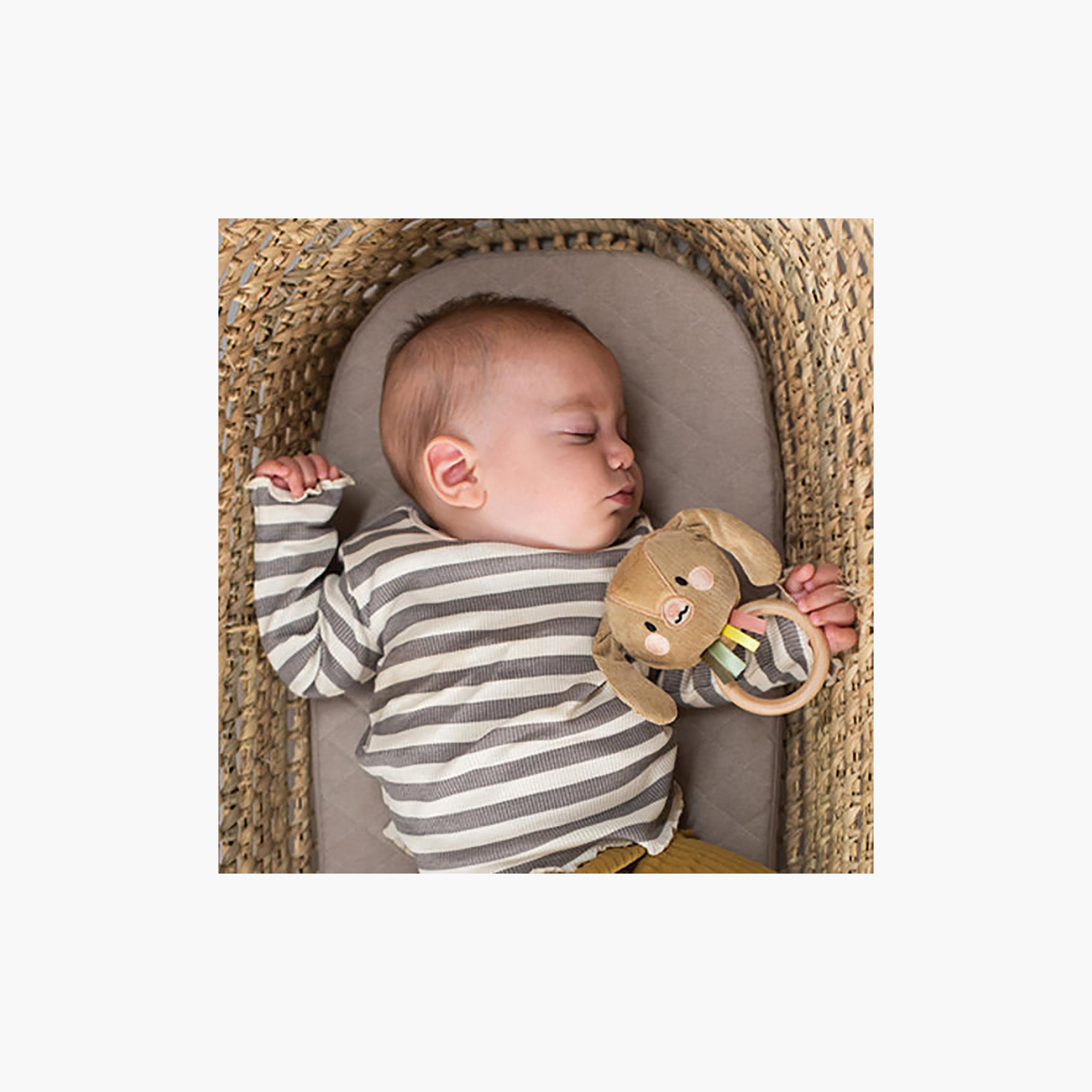 خشخيشة الأرنب جيني من تاف تويز-toys-plushsofttoys-image-3