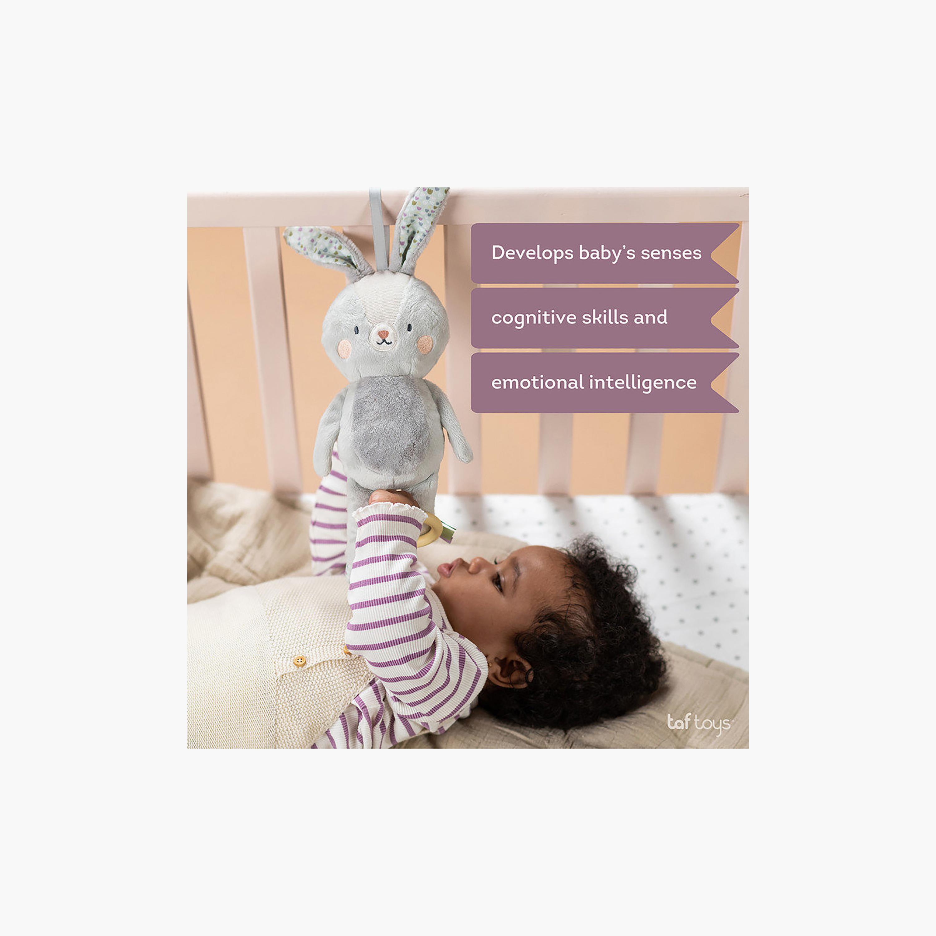Taf Toys Rylee Musical Bunny-toys-plushsofttoys-image-2