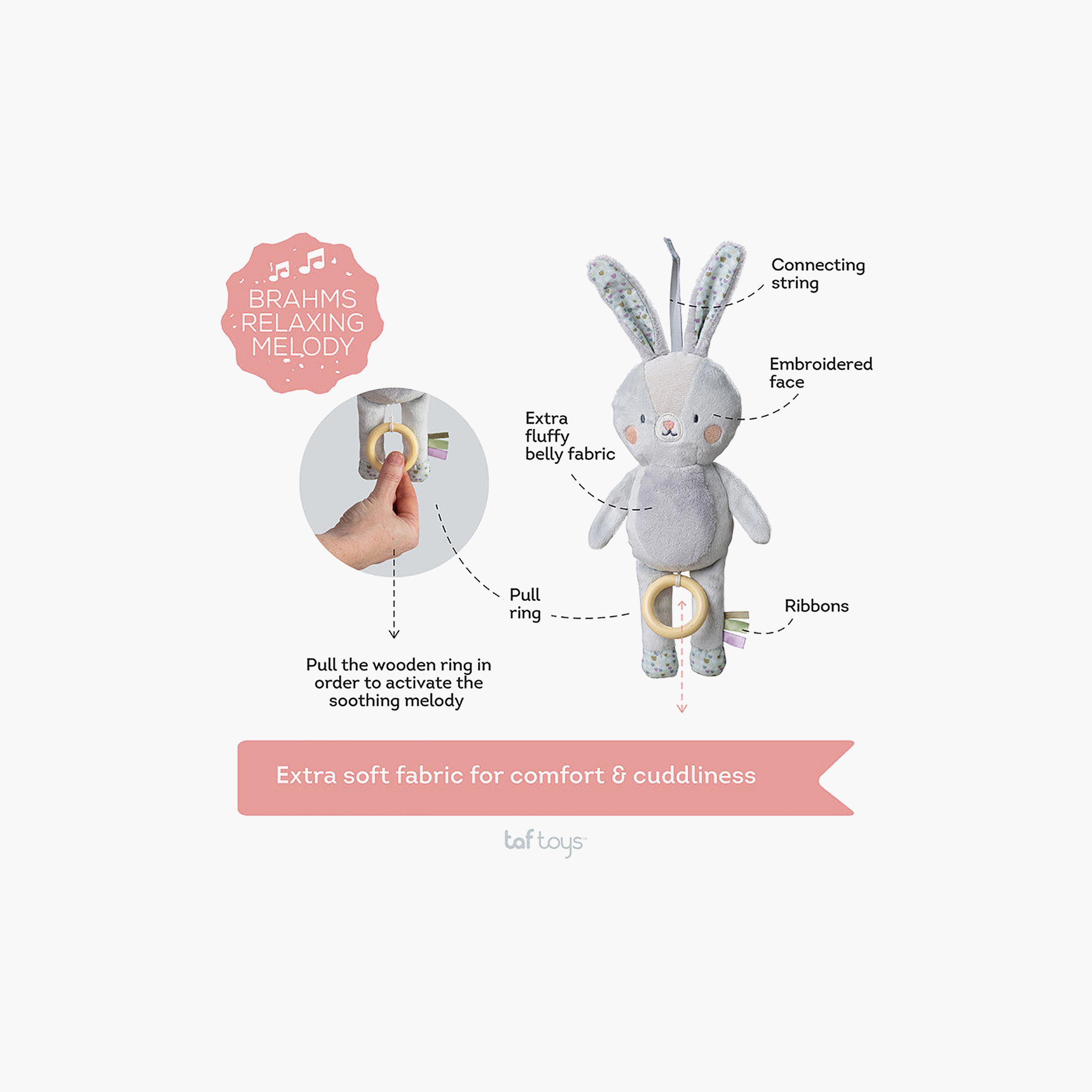 Taf Toys Rylee Musical Bunny-toys-plushsofttoys-image-3