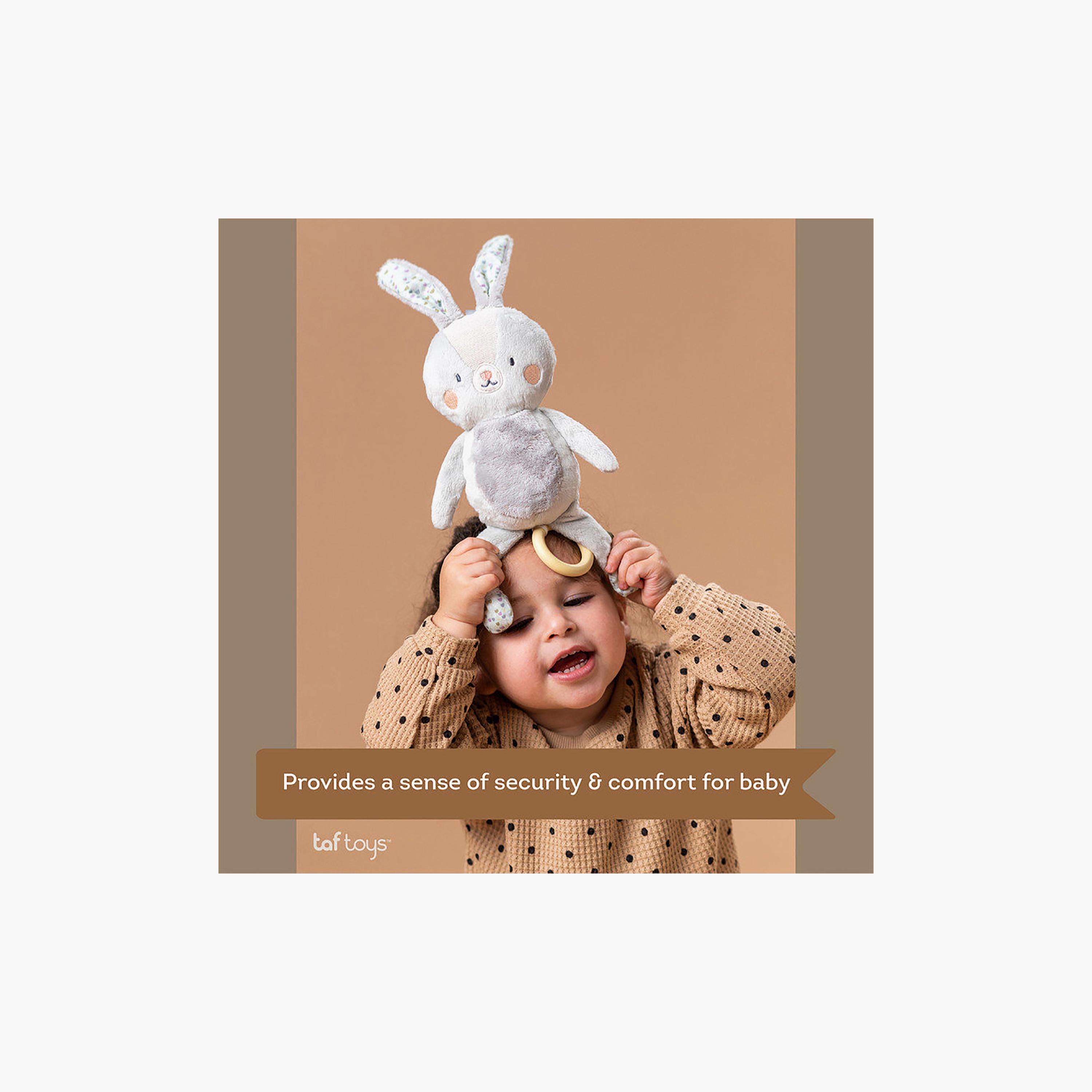 Taf Toys Rylee Musical Bunny-toys-plushsofttoys-image-6
