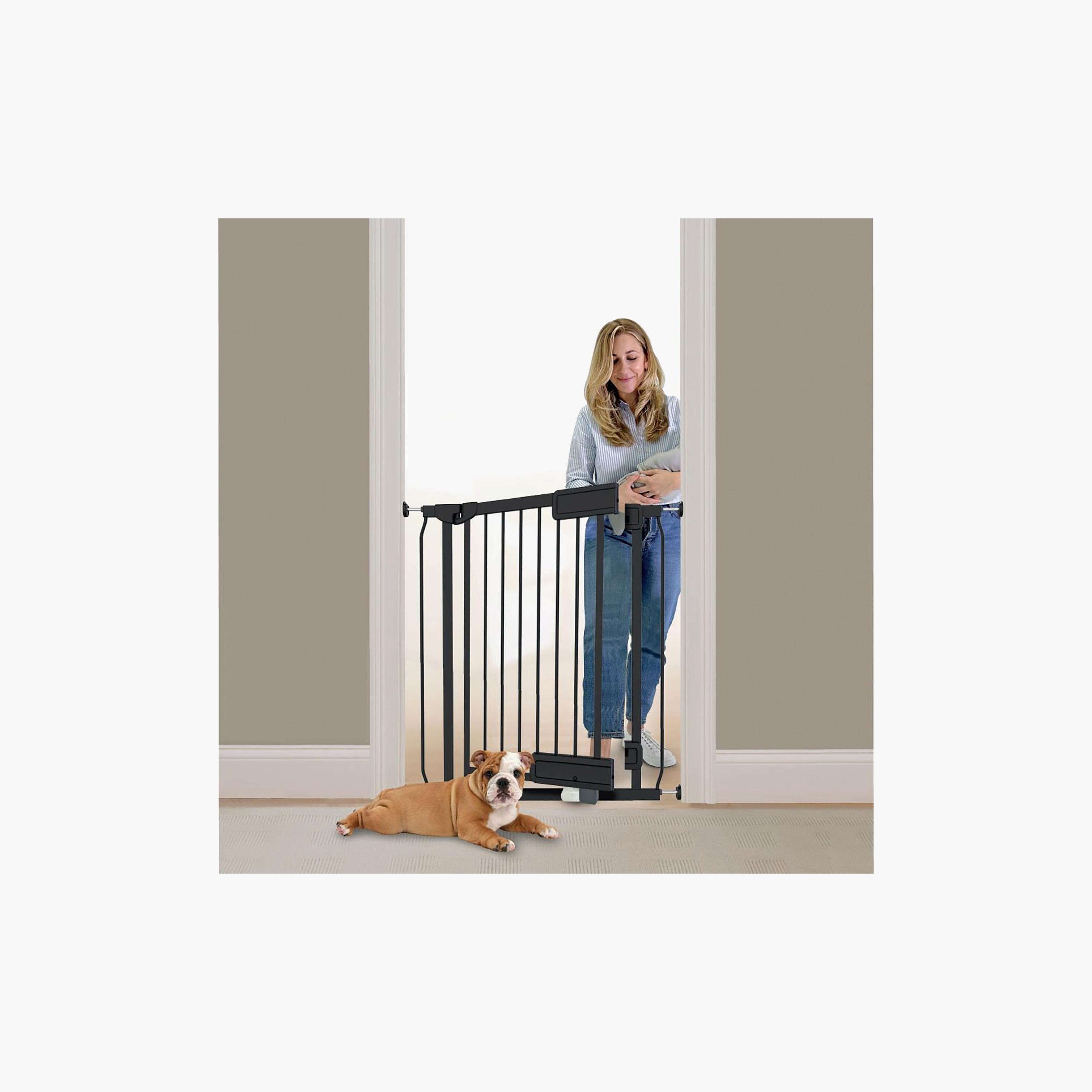 Ingenuity Doorway Series Hands Free Open Gate - 0-6 Months-baby-healthandsafety-babyproofing-image-2