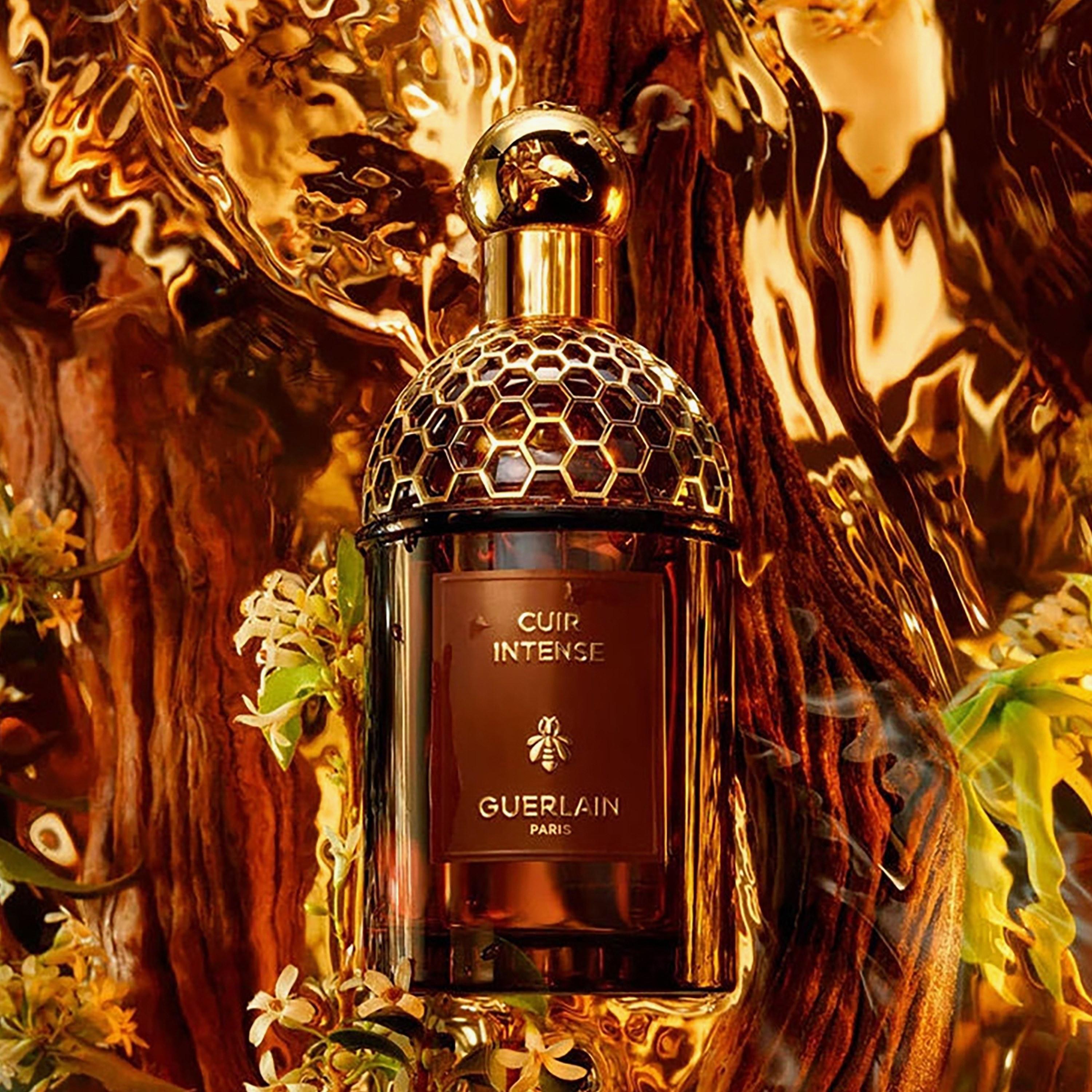 جيرلان ابسولوس اليجوريا كوير انتينس او ​​دي بارفان للجنسين - 125 مل-beautyandpersonalcare-fragrance-unisex-image-2