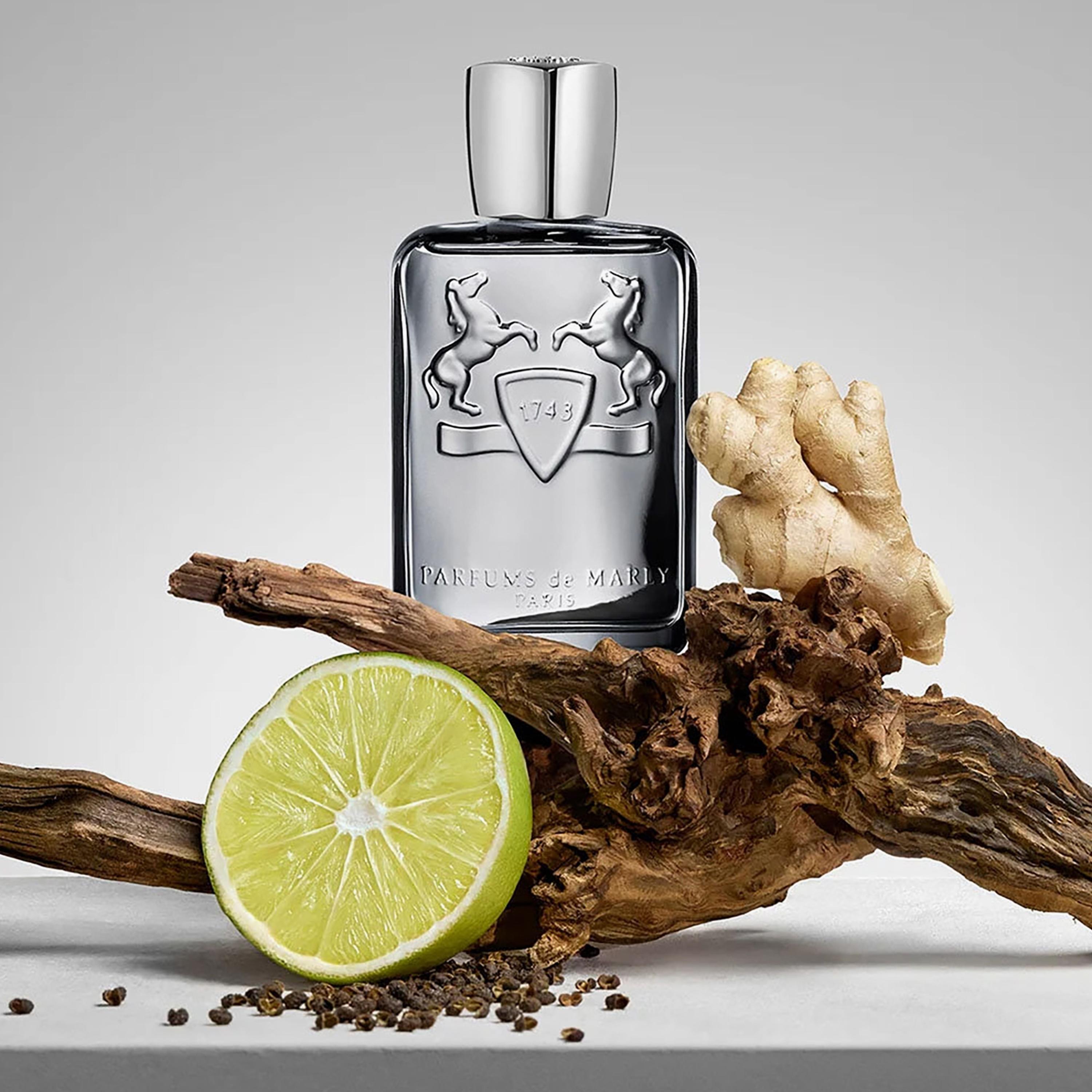 Parfums de Marly Castley EDP for Men - 125ml-beautyandpersonalcare-fragrance-men-image-3
