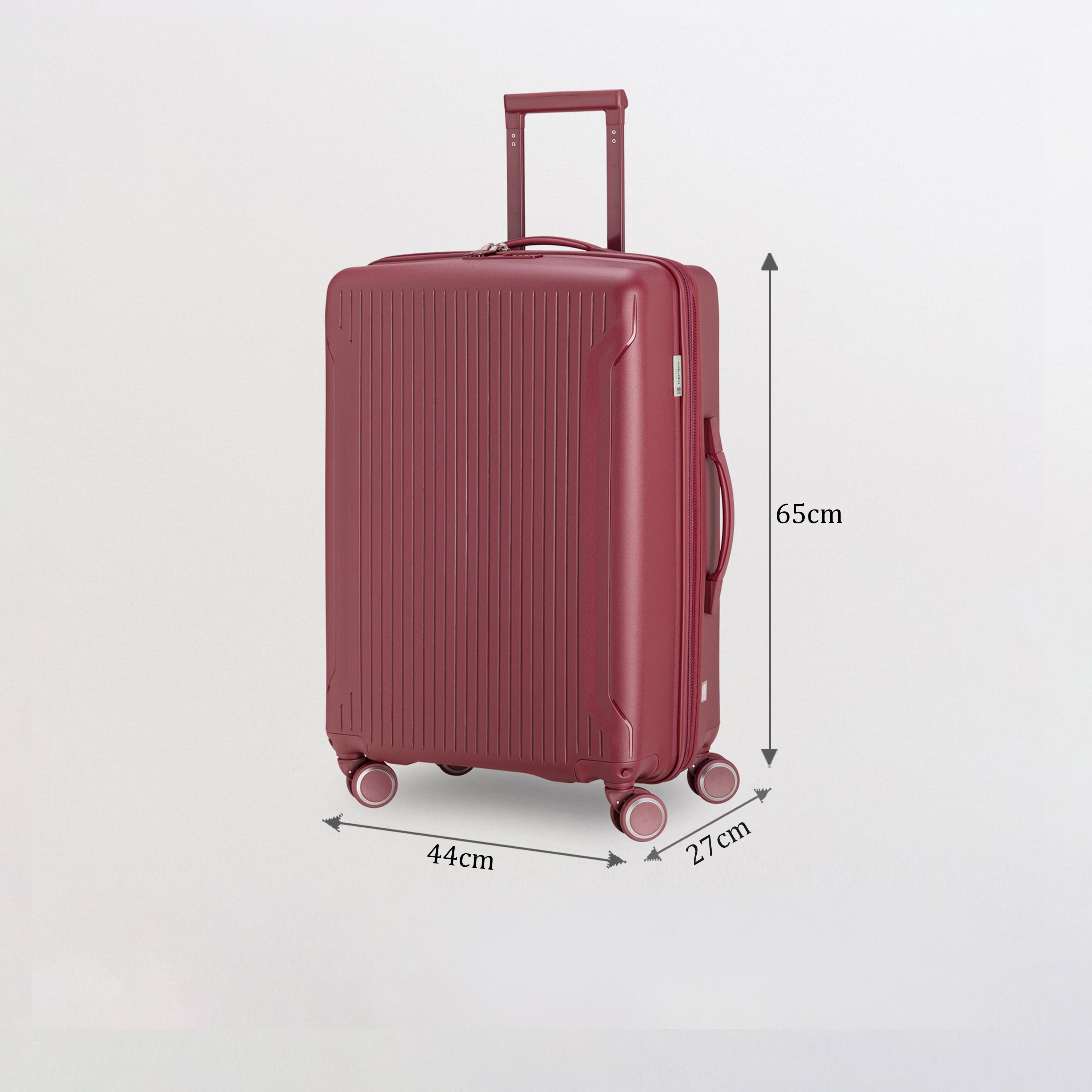 كابريسا - شنطة سفر فليكسيتك متوسطة أربع عجلات دوارة  65 سم-travel-luggagesandbags-luggage-image-10
