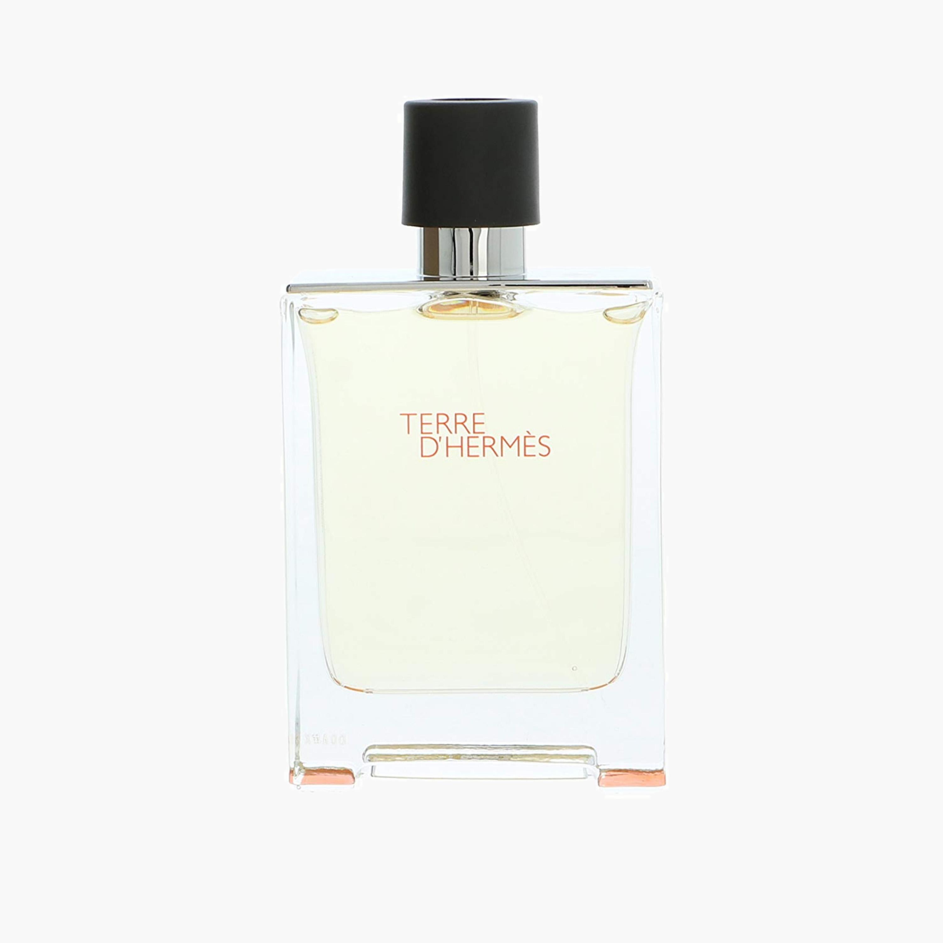 Hermes Terre D'Hermes Eau de Toilette-beautyandpersonalcare-fragrance-men-image-1