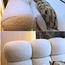Harper Cloudy Queen Bed - 160x200 cm-InfluencerCodes_Ramadan26_All_20012026-image-5