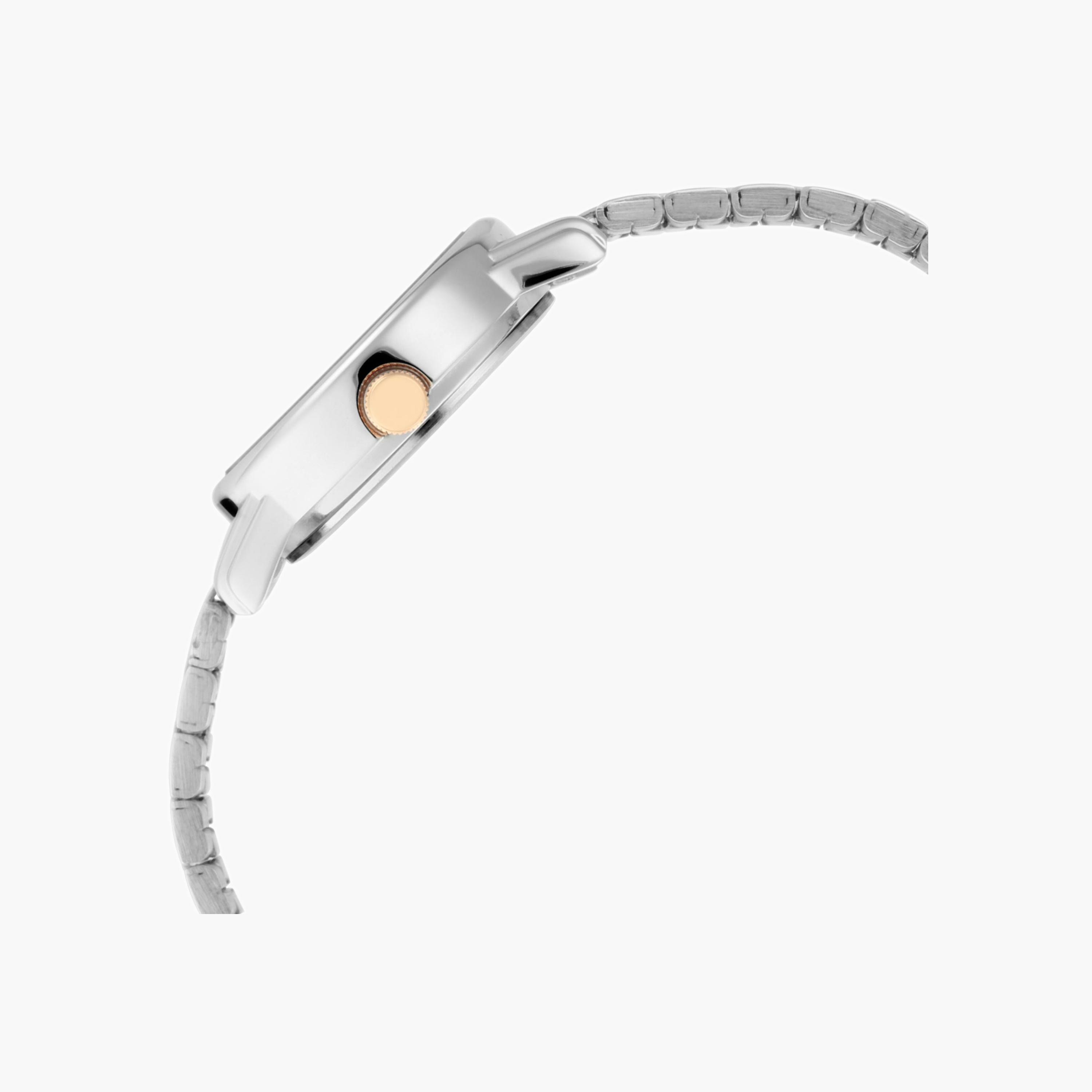 Titan Two-Tone Analogue Watch-women-watchesandjewellery-watches-image-2