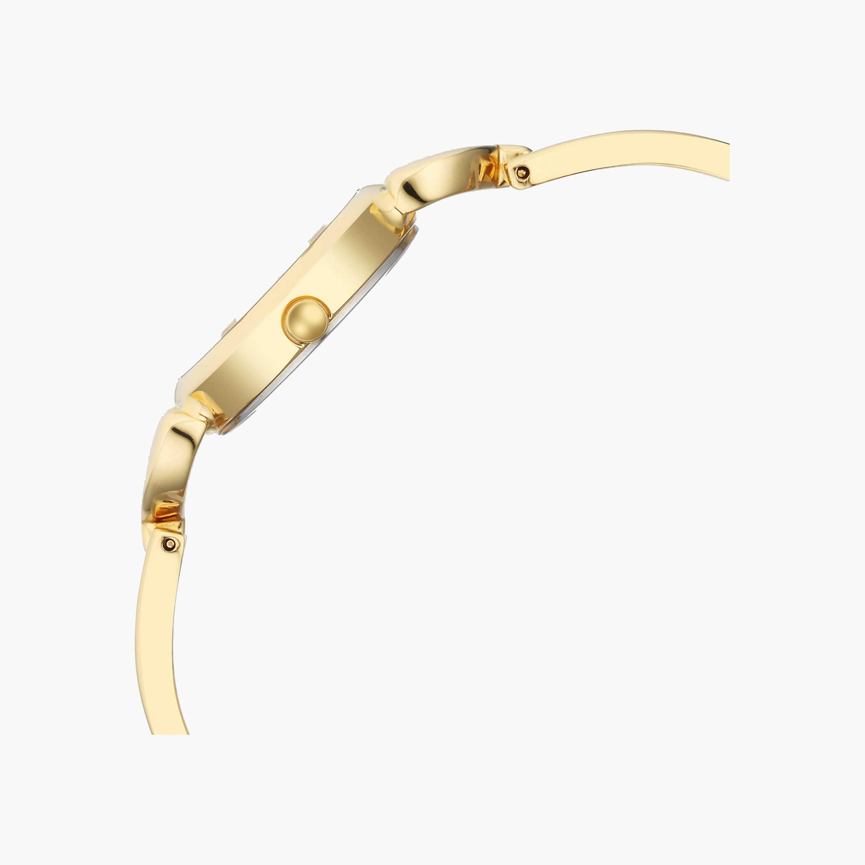 ساعة تيتان راجا أنالوج للنساء-women-watchesandjewellery-watches-image-2